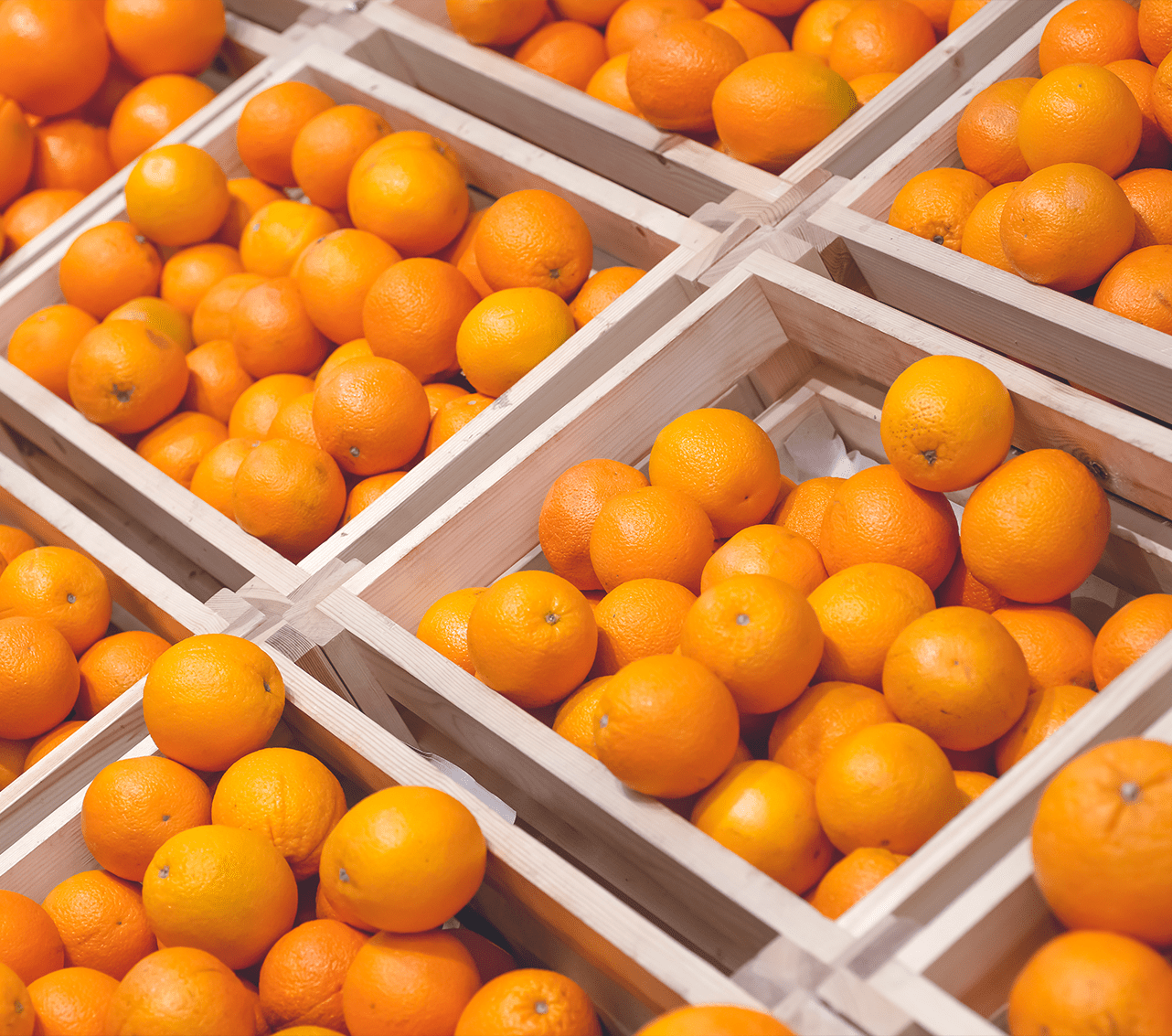 Cómo optimizar la producción de clementinas: Mejores técnicas de cultivo y manejo de recursos